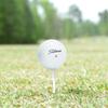 GolfBall Nut Used and Recycled for Titleist NXT Tour Near Mint 4A Quality White 48 Golf Balls Mesh Bag Included view 4