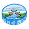 Country Brook Design - Blue Hawaiian Photo Quality Polyester (1/2 Inch, 20 Yards) view 1