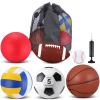 Libima 6 Pcs Multi Sport Ball Set Official Size Football Basketball Soccer Volleyball Playground Ball Baseball with Outdoor Sports Equipment Bag Pump Christmas Sports Gift(Classic Style) view 1