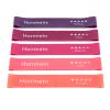 Honmein Resistance Bands for Working Out, Exercise Bands with 5 Resistance Levels Fit for Home Fitness, Strength Training, Natural Latex Resistance Band Include Instruction Guide and Carry Bag (Pink) view 1