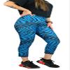 Zubaz NFL Women's 2 Color Capri Legging, Carolina Panthers, Small view 1