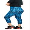Zubaz NFL Women's 2 Color Capri Legging, Carolina Panthers, Small view 2