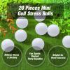 Libima 20 Pcs Mini Golf Stress Ball Bulk Foam Practice Balls Stress Relief Sports Ball Training for Golf Birthday Party Favors Carnival Classroom Reward Indoor Outdoor (White,2.5 Inch) view 2