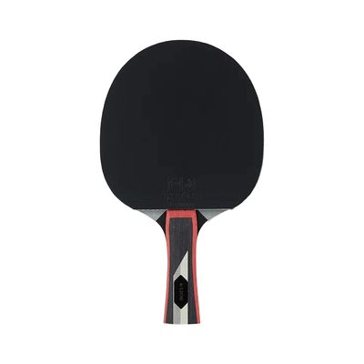 Carta Sport Lion TT BAT Typhoon