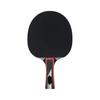 Carta Sport Lion TT BAT Typhoon view 1