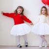 WLLHYF Girls Tutu Skirt 4 Layers Tulle Tutu Skirts Elastic Fluffy Ballet Dance Skirts for Toddler Kid 2-8 Years Children Party (White) view 2