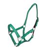 Gatsby Nylon Safety Breakaway Halter Foal Turquois view 1
