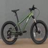 Cleary Bikes Scout 20 Inch 9 Speed Kids MTN Bike - Intergalactic Green view 1