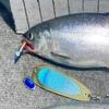 Spinner-Hoochies (2): Blue Destroyer view 3