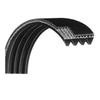 Pulley Drive Belt 26" 8 Ribs High Strength Black Rubber Flexonic V-Belts Pulley Belt OEM Equipment Exercise Rowing Machine Replacement Part MFR-260-J8 or 1000423777 Works with Oxford 3 6 AR52 AR53 view 1