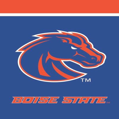 Boise State NCAA House Flag 28" x 40" Briarwood Lane 28" x 40" Briarwood Lane