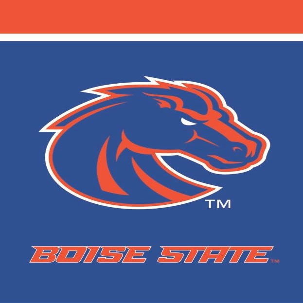 Boise State NCAA House Flag 28" x 40" Briarwood Lane 28" x 40" Briarwood Lane
