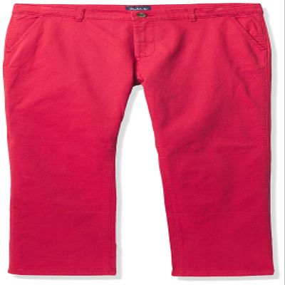 The Children's Place,Boys,Stretch Skinny Chino Pants,Hampton Red Single,20(Husky)