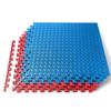 Thick Puzzle Exercise Mat, 6 Pcs EVA Foam Interlocking Tiles Protective Flooring for Gym Equipment and Cushion for Workouts, Durable Non-Skid Texture, Easy to Assemble, Red and Blue view 1