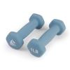 LIONSCOOL Neoprene Coated Dumbbell Weights (Sea 1lb Pair) view 1