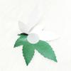 Celamirio Women's Disposable Nipple Covers Pasties 2 Pairs Green view 3