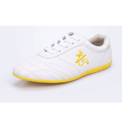 DAFLIN Martial Arts Taekwondo Shoes Hot Unisex Non-Slip Breathable Children Teenager Adults Sport Gym Shoes for Taekwondo Boxing Kung Fu (Color : White, Size : 34 EU)