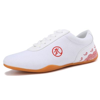 DAFLIN Taekwondo Shoes, Unisex Taekwondo Boxing Kung Fu Tai Chi Sport Gym Shoes for Children Adults (Color : White, Size : 28 EU)