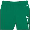 Champion Boys' Shorts, Athletic Shorts for Boys, Lightweight Shorts for Kids, French Terry, Script, 8" view 2