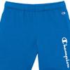 Champion Boys' Shorts, Athletic Shorts for Boys, Lightweight Shorts for Kids, French Terry, Script, 8" view 2