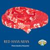 Country Brook Design - Red Hawaiian Photo Quality Polyester (1/2 Inch, 10 Yards) view 2