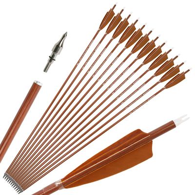 30" Archery Carbon Hunting Arrows Traget Practice Arrow Spine 500 600 with 4 Turkey Feather Fletching 100 Grain Removable Field Tips for Compound Bow and Recurve Bow (12 pcs arrow, Spine 600)