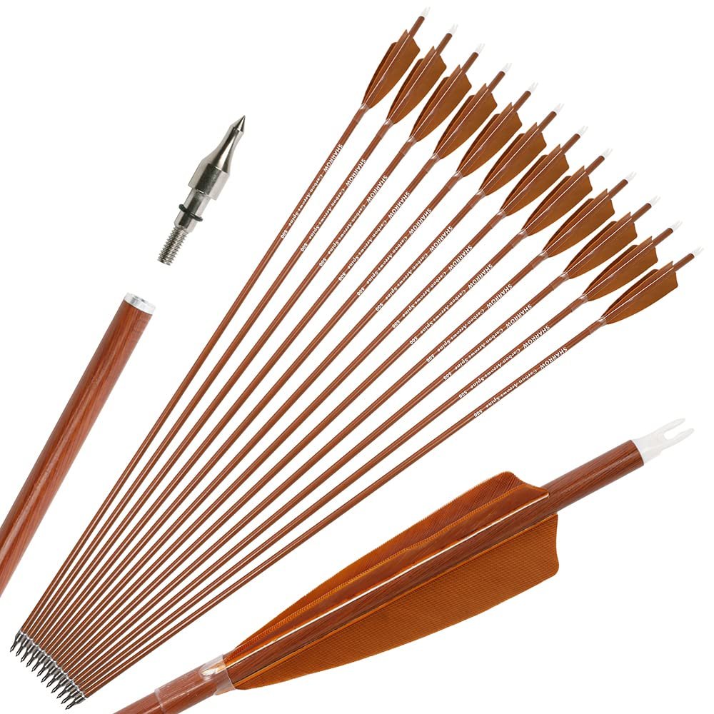 30" Archery Carbon Hunting Arrows Traget Practice Arrow Spine 500 600 with 4 Turkey Feather Fletching 100 Grain Removable Field Tips for Compound Bow and Recurve Bow (12 pcs arrow, Spine 600)