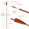 30" Archery Carbon Hunting Arrows Traget Practice Arrow Spine 500 600 with 4 Turkey Feather Fletching 100 Grain Removable Field Tips for Compound Bow and Recurve Bow (12 pcs arrow, Spine 600) view 2