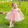 AGQT Toddler Girls Tutu Dress Sleeveless Kids Tulle Tutu Dress Polka Dot Birthday Party Babydoll Dresses Sequin Dot-Pink Size 2-3T view 4