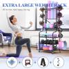 Mythinglogic Home Gym Storage with 3-Tier Medicine & Exercise Ball Rack, Weight Rack for Dumbbells Kettlebells and Weight Equipment, Yoga Mat Storage Rack with Sturdy and Lockable Casters view 2