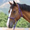 Harrison Howard Rope Halter for Horses Super Sturdy Horse Rope Training Halter with 2 Knot 1/4" Stiff Halter Cord Draft Purple view 2