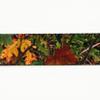 Country Brook Design - Southern Forest Camo Lite Tape (1 Inch, 5 Yards) view 3