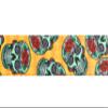 Country Brook Design - Sugar Skulls Lite Tape (1 Inch, 5 Yards) view 3