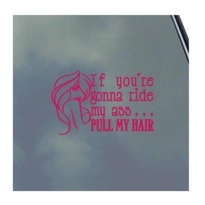 If You're Gonna Ride My Ass... Vinyl Sticker Decal BDSM Kitten Kink Domme Sexy Master Slave Hot Symbol Oval Symbol