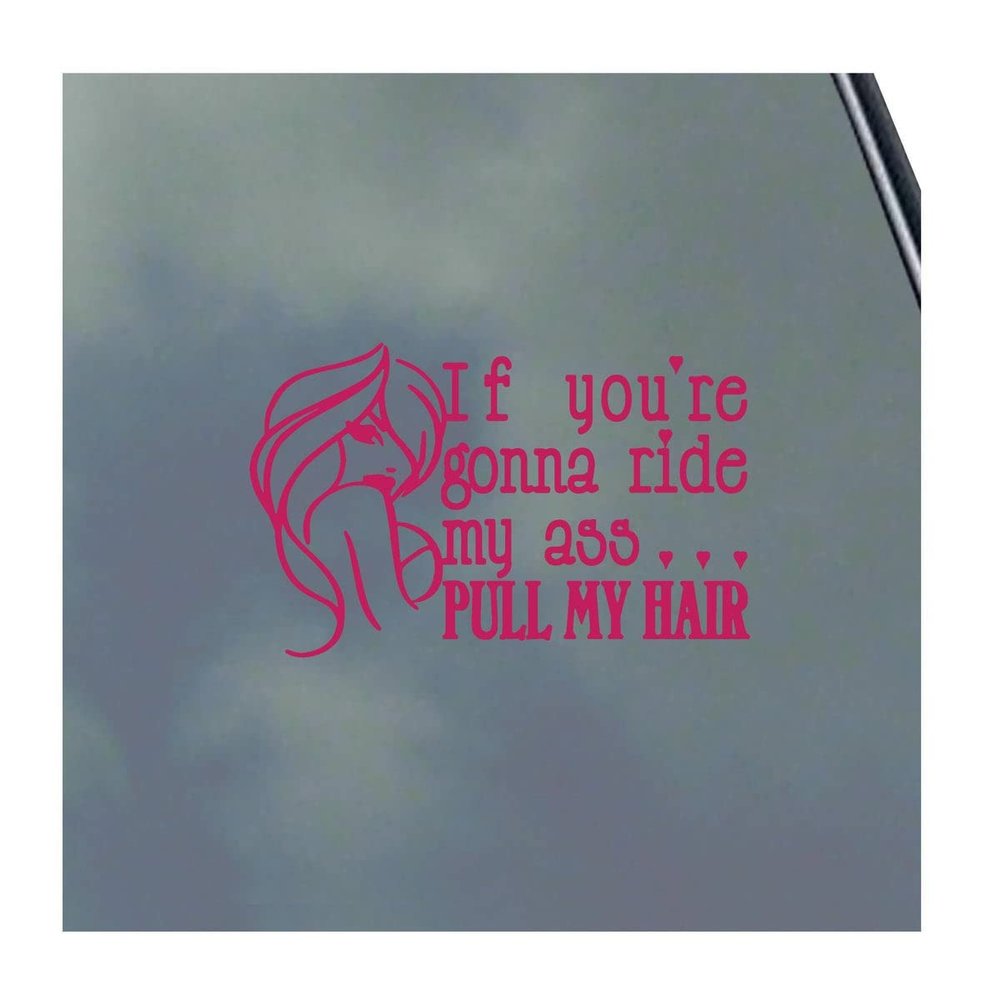 If You're Gonna Ride My Ass... Vinyl Sticker Decal BDSM Kitten Kink Domme Sexy Master Slave Hot Symbol Oval Symbol