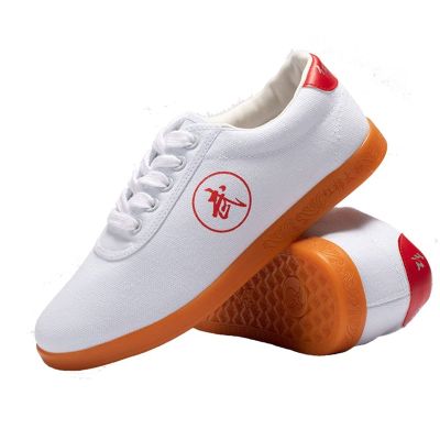 DAFLIN Martial Arts Taekwondo Shoes Unisex Non-Slip Breathable Children Teenager Adults Sport Gym Shoes for Taekwondo Boxing Kung Fu Tai (Color : White, Size : 5 US)