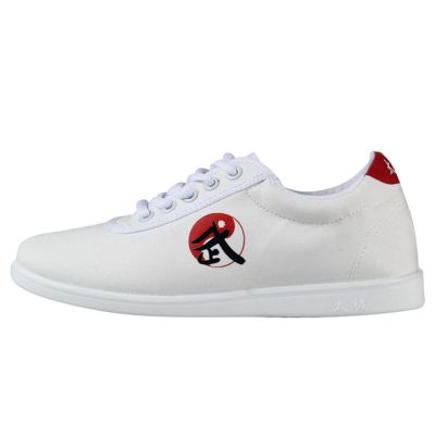 DAFLIN Taekwondo Shoes, Breathable Martial Arts Sneakers, Sport Boxing Kung Fu Taichi Lightweight Shoes for Adults and Children (Color : White, Size : 40 EU)