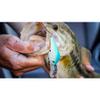 Berkley Dredger Fishing Lure, Stone Cold, 3/4 oz, 2.75in | 7 cm, Tight, Subtle Action Ideal for Deep Water Fish, Equipped with Sharp Fusion19 Hook view 4