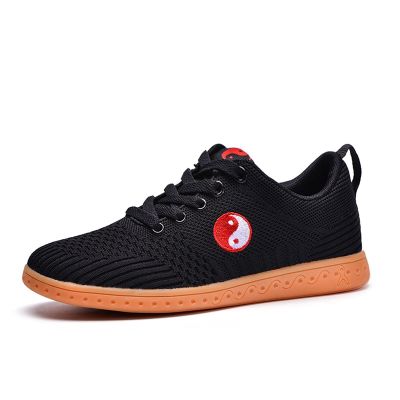 DAFLIN Unisex Taekwondo Shoes, Martial Arts Sports Shoes Sports Boxing Karate Martial Arts Taichi Shoes Lightweight Shoes for Kids Women Men Adult (Color : Black, Size : 10 US)