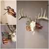 European Trophy Mount Plaque Skull Hanger Kit, USA Flag Game Display Wooden Deer Hanger Base Wall Mount and Mount Taxidermy Antlers Skull Home Outdoor Decor view 1