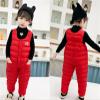 Baby Toddlers Snow Bib Overalls Winter Warm Pants Thicken Skiing Bibs for Girls & Boys 1-5 Years (Red, 2-3 Years) view 2