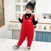 Baby Toddlers Snow Bib Overalls Winter Warm Pants Thicken Skiing Bibs for Girls & Boys 1-5 Years (Red, 2-3 Years) view 4