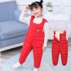 Kids Snow Bib Overalls Winter Warm Snow Pants Insulated Skiing Bibs for Girls & Boys 1-5 Years (Red, 6-12 Months) view 2