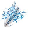 RED DRAGON Hardcore Gerwyn Price Snowflake Freestyle Dart Flights- 3 Sets Per Pack (9 Dart Flights in Total) view 3