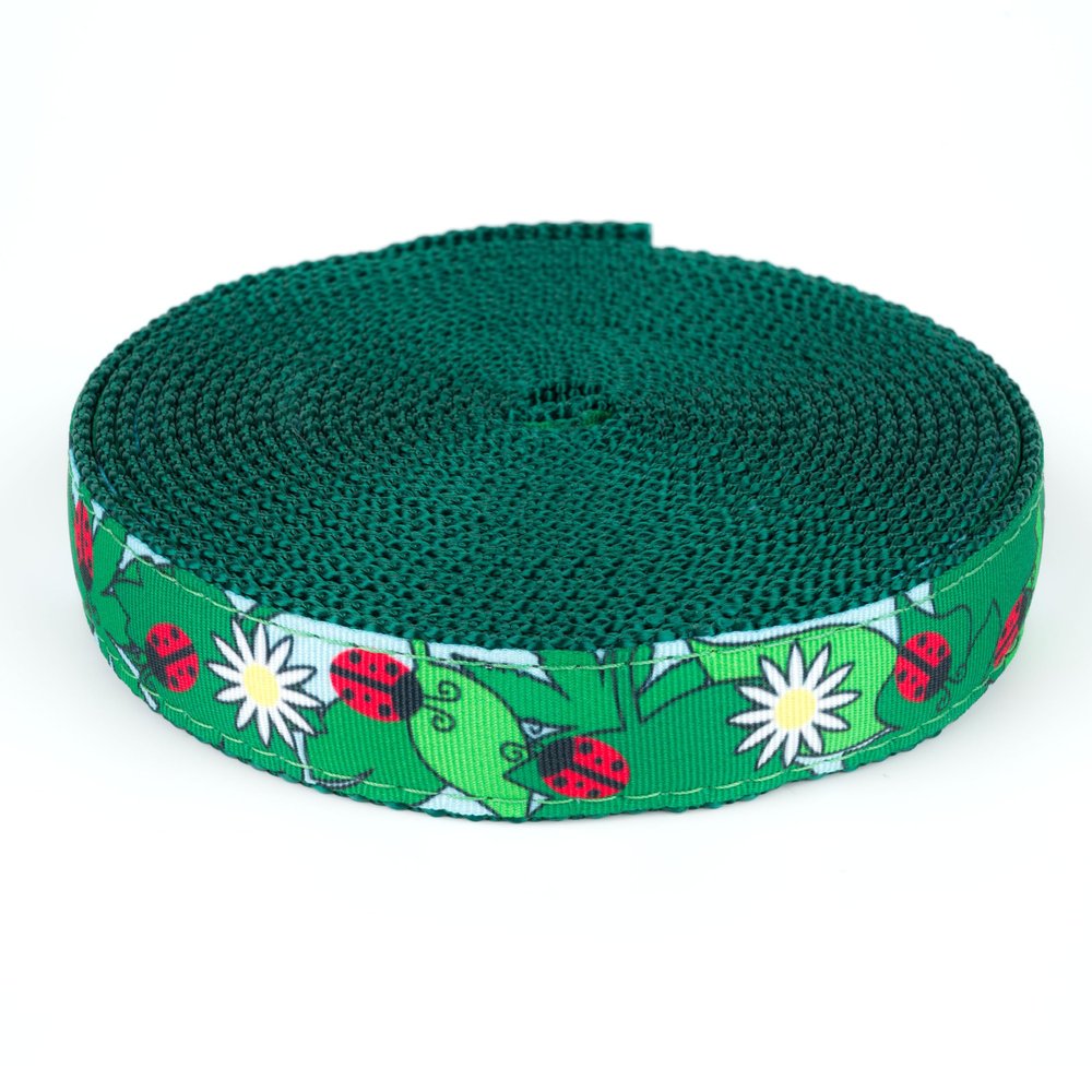 Country Brook Design - Ladybugs Picnic Ribbon on Green Nylon Webbing (3/4 Inch, 20 Yards)
