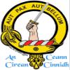 Scottish Clan Crest Sgian Dubh ~ Gunn view 3