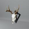 European Skull Hanger for Deer  Unique Arrow Design for Displaying Your Trophy  Enhance Your Deer Skull Mount with a Modern Visible Display view 2