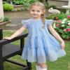 AGQT Toddler Girls Ruffle Dress Loose Fit Swiss Dots Flowy Pleated Dress Summer Babydoll Birthday Chiffon Dress Easter Dresses Ligh Blue Size 2-3T view 2