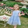 AGQT Toddler Girls Ruffle Dress Loose Fit Swiss Dots Flowy Pleated Dress Summer Babydoll Birthday Chiffon Dress Easter Dresses Ligh Blue Size 2-3T view 3