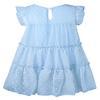 AGQT Toddler Girls Ruffle Dress Loose Fit Swiss Dots Flowy Pleated Dress Summer Babydoll Birthday Chiffon Dress Easter Dresses Ligh Blue Size 2-3T view 4